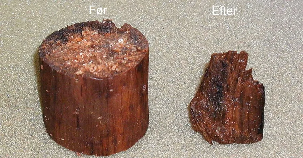 Nyt studie: Klimaskabt tørke ødelægger fortidsminder på få måneder