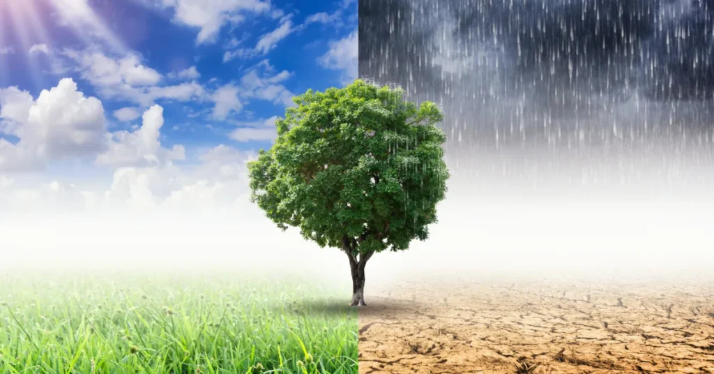 Samtalecafé i Karup sætter klimaet til debat