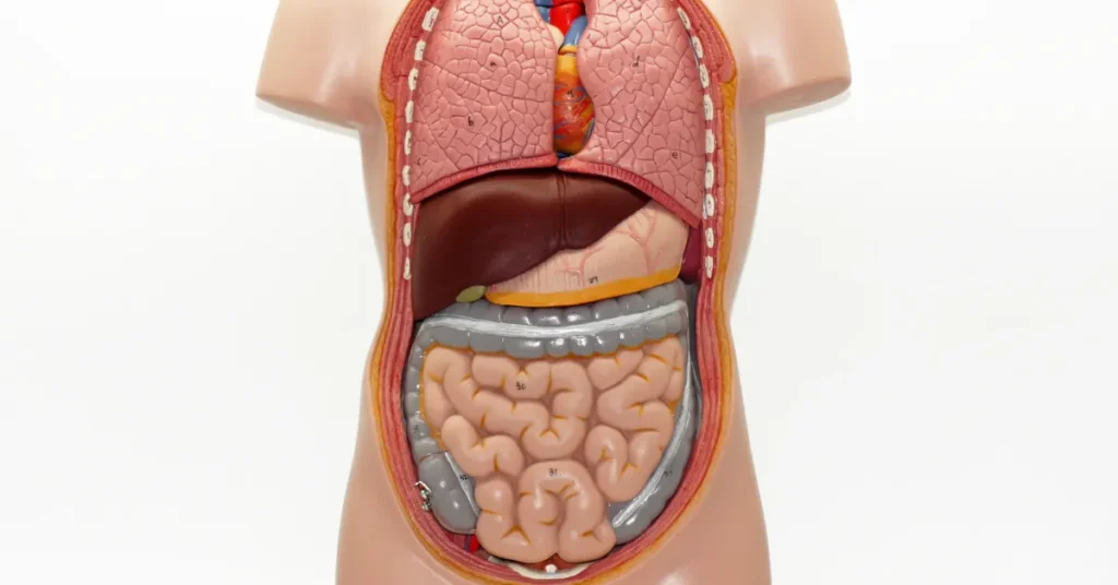Udviklingshandicap: Langt færre deltager i tarmkræftscreening – og det kan koste liv