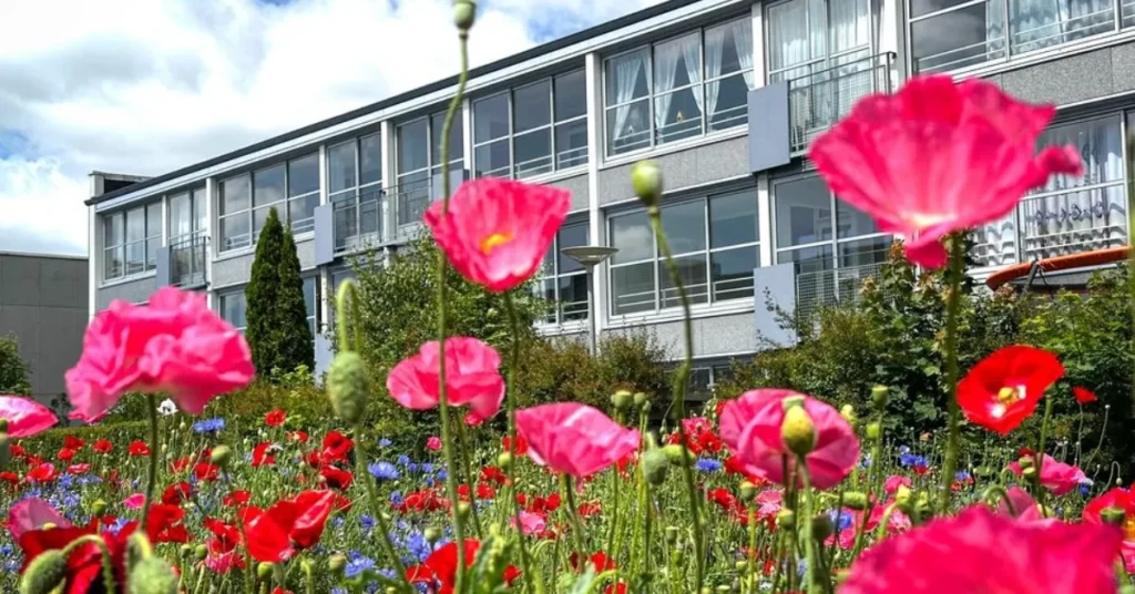 Millionstøtte skal bringe sundhedstilbud tættere på borgerne i Viborg