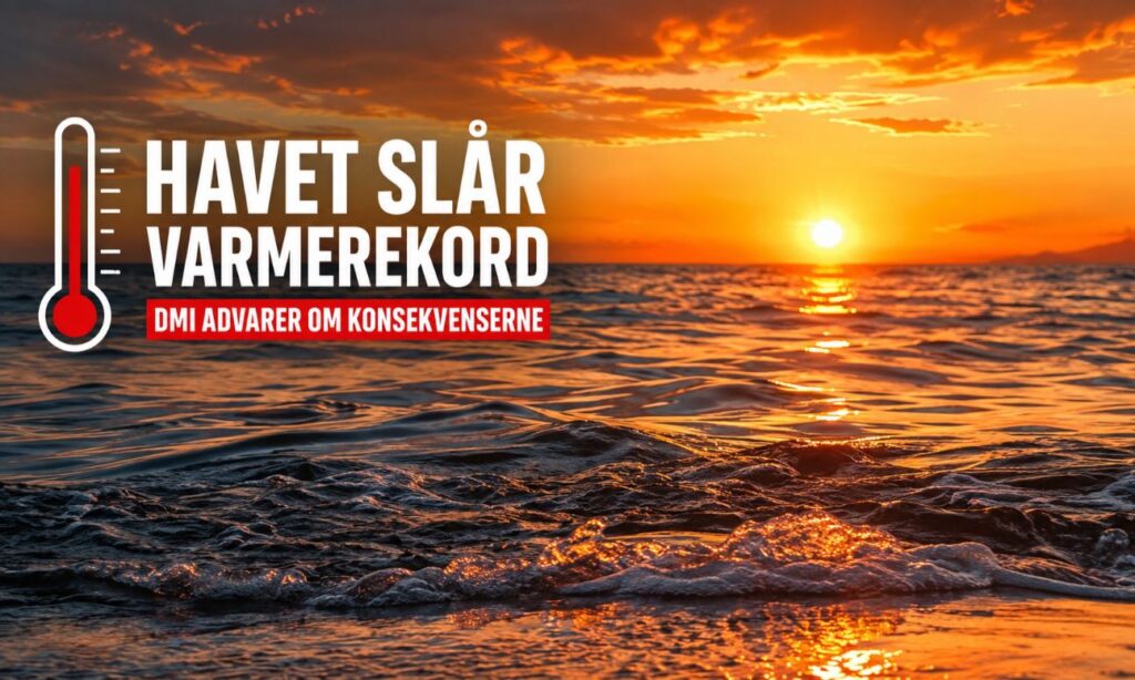 Havet slår alarmerende varmerekord – DMI frygter konsekvenserne