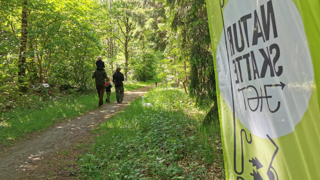 Fire skattejagter sender familier på eventyr i Viborgs skove i efterårsferien